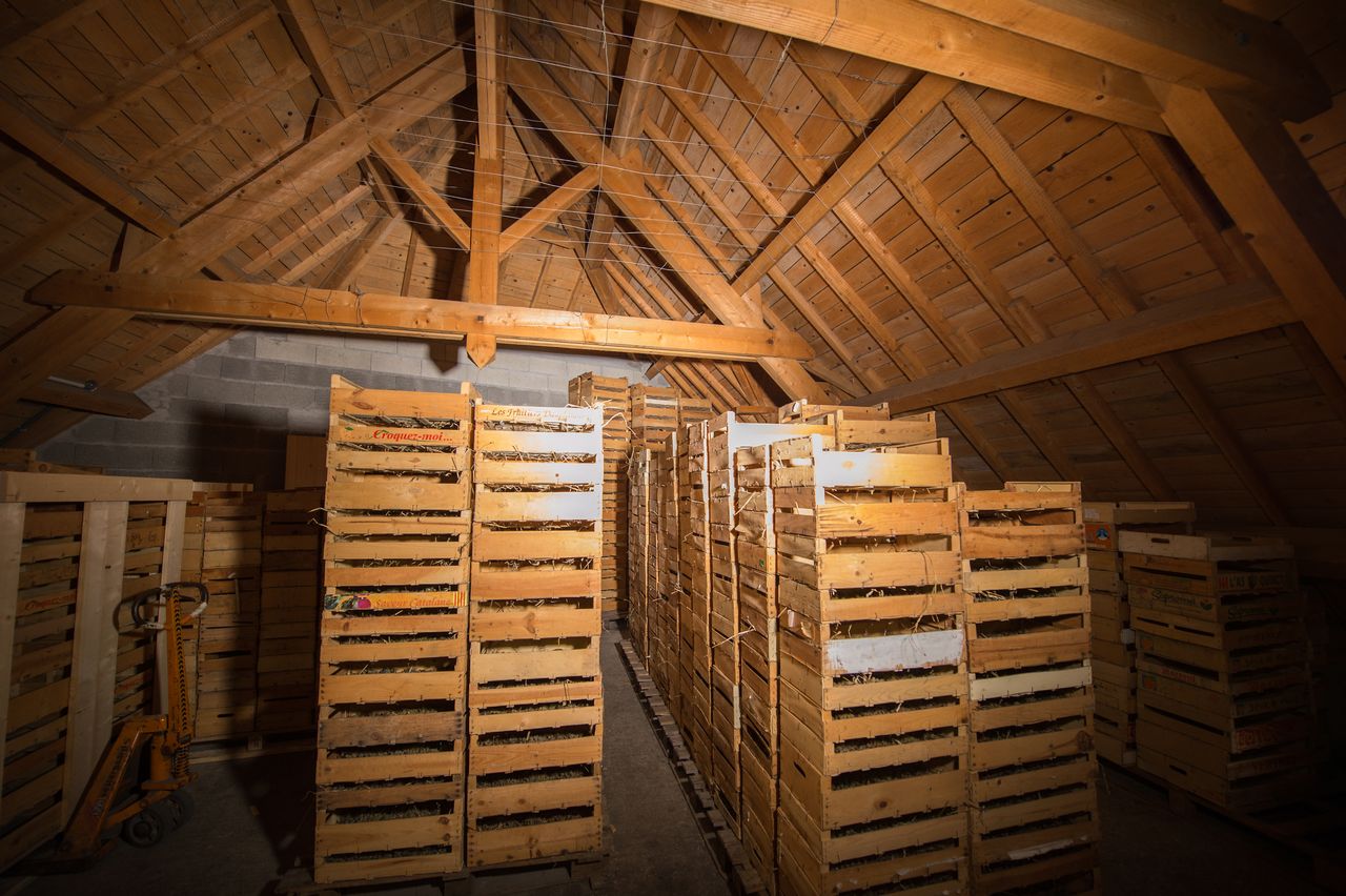 Vignoble Technique Vin de paille VDP-0038